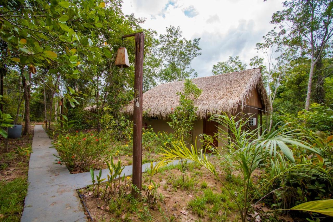 Amazon Turtle Lodge Careiro Extérieur photo