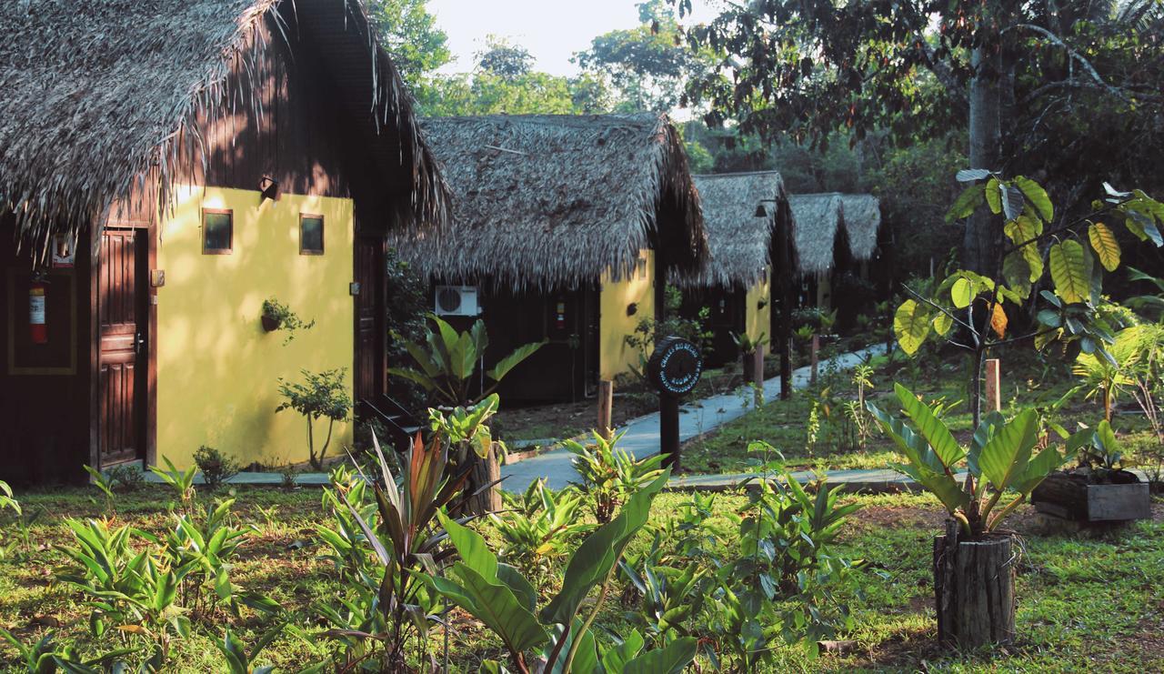 Amazon Turtle Lodge Careiro Extérieur photo