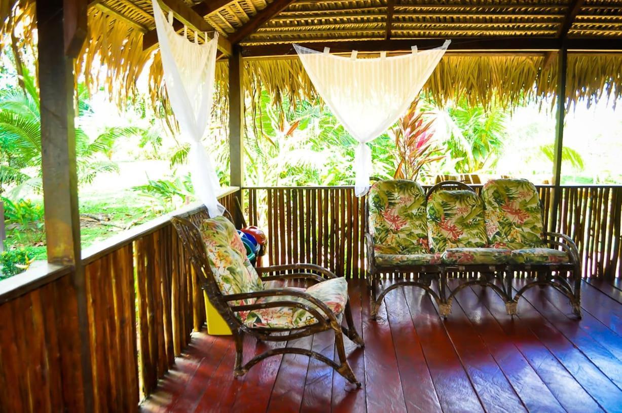 Amazon Turtle Lodge Careiro Extérieur photo